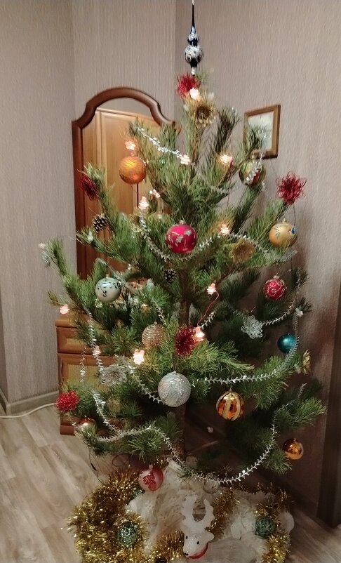 Домашняя  елочка - Надежда 