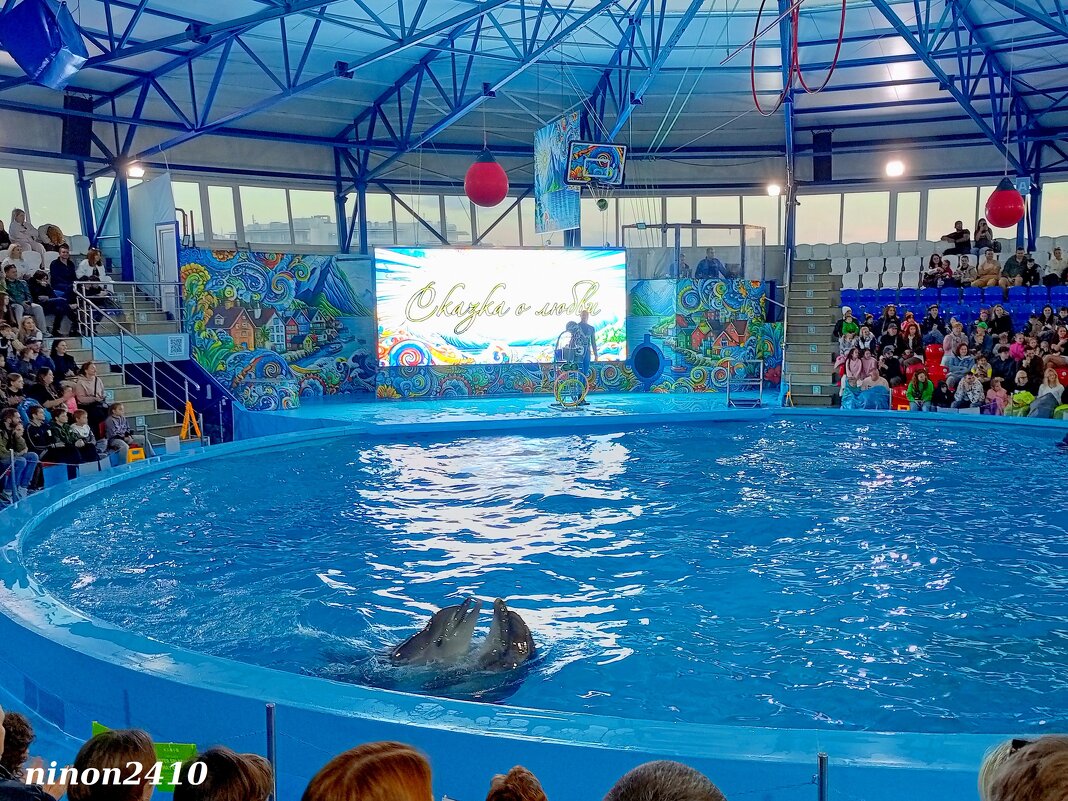 Адлер. Сочи Парк... шоу дельфинов... - Нина Бутко