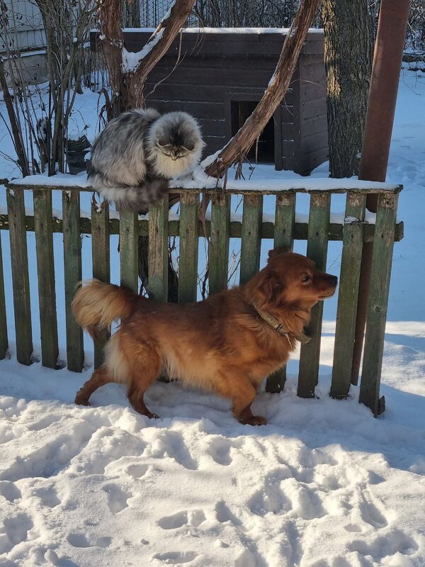 Вот это настоящее удовольствие! :) - Наталья 