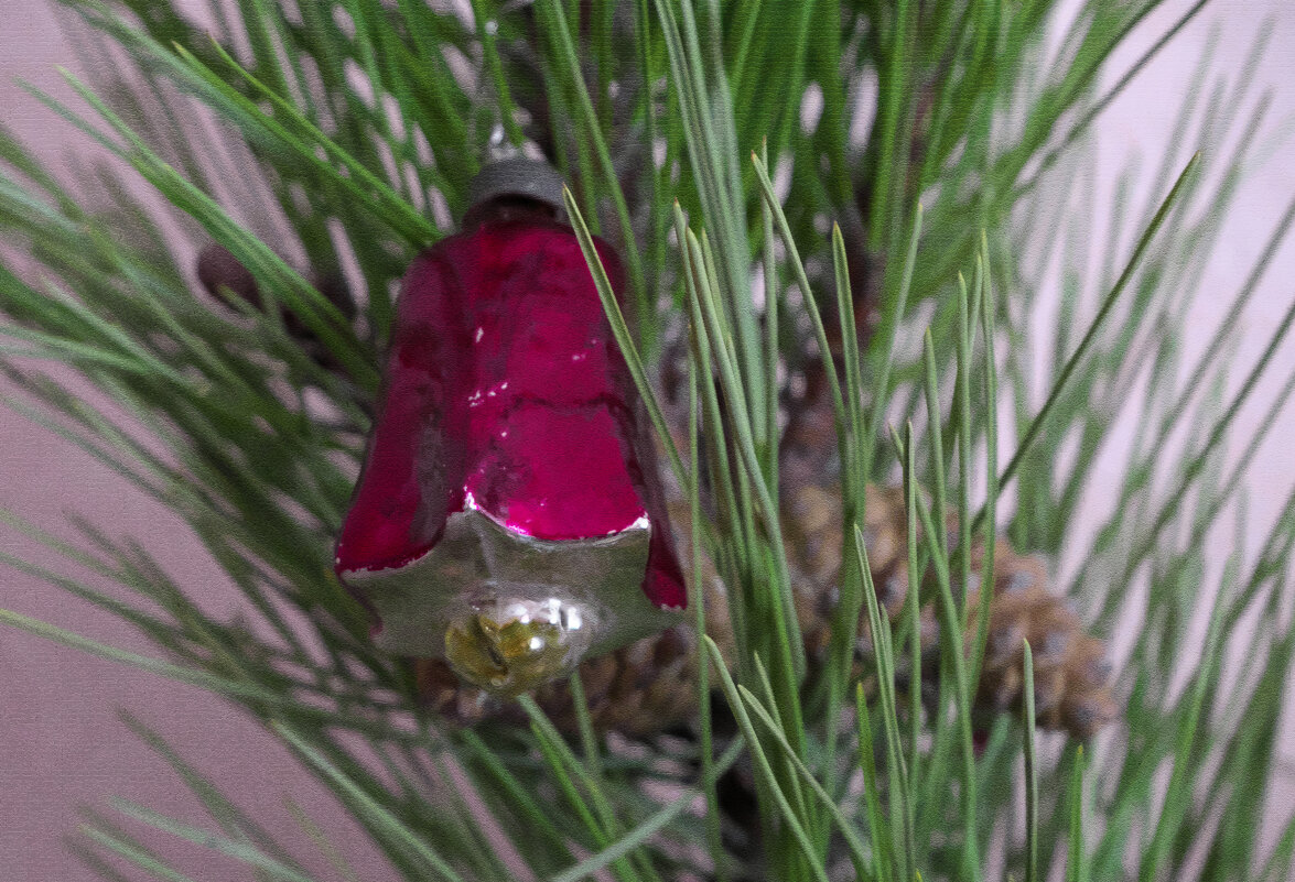 Старый Новый год - Всеволод 