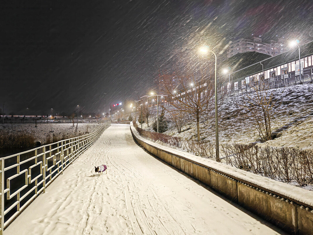 Ростовские зарисовки - Александр Гапоненко