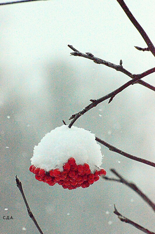 ...а снег идет!) - Дмитрий 