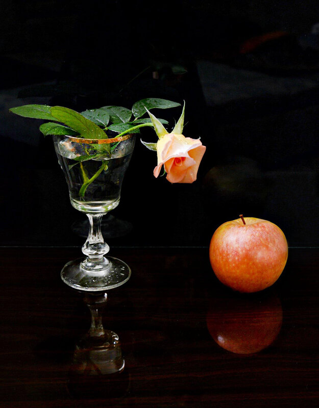 *** - Надежда Куркина 