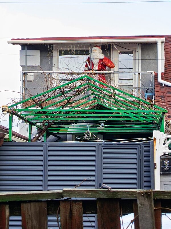 Вот такой дед Мороз - Татьяна Пальчикова