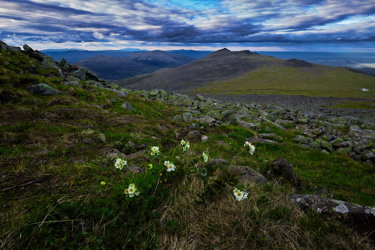 Скоро ночь. - Юрий кот