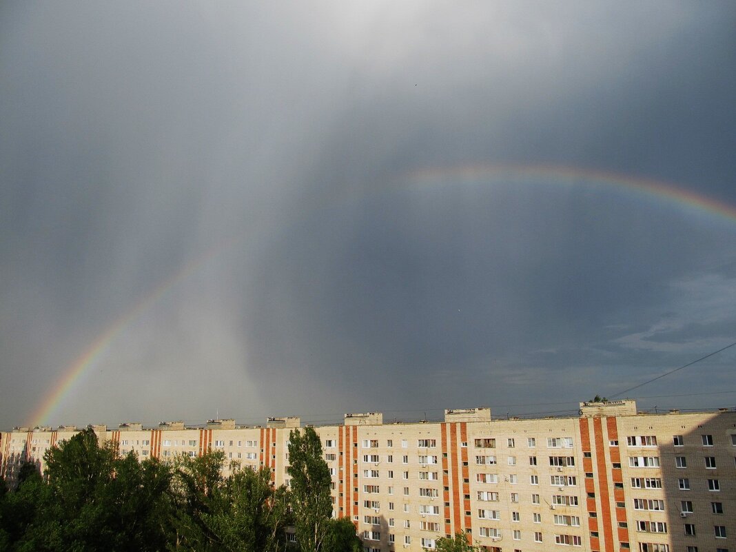 после дождя - Елена Шаламова