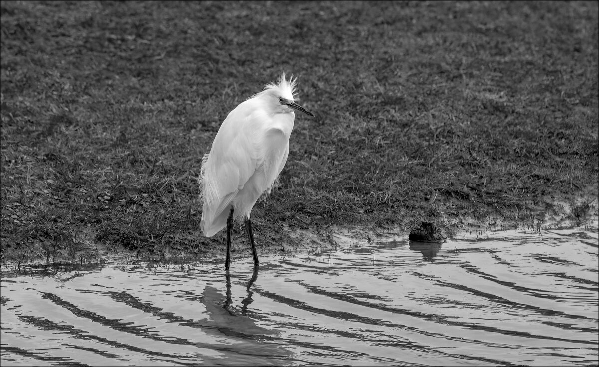 Холодно - **** vedin