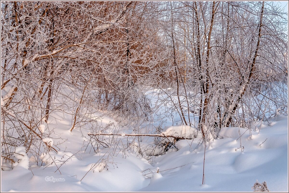 Про январь... - Aquarius - Сергей