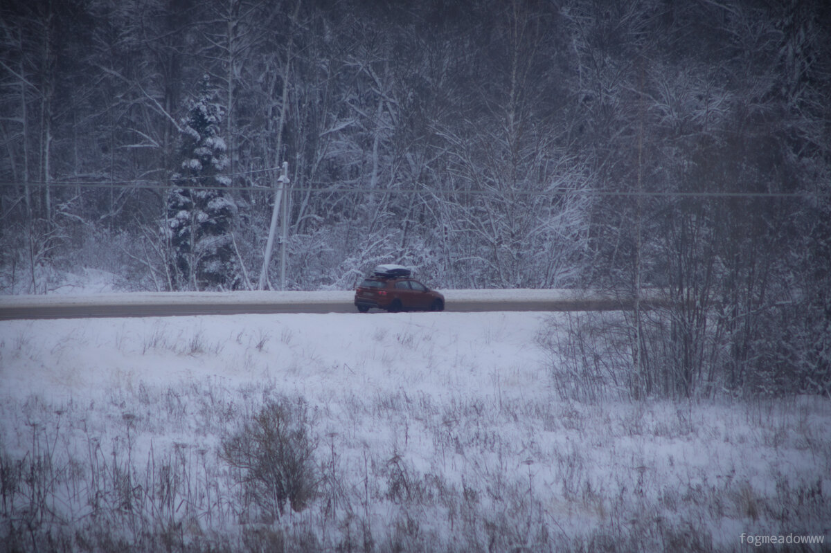 без названия - fogmeadowww m