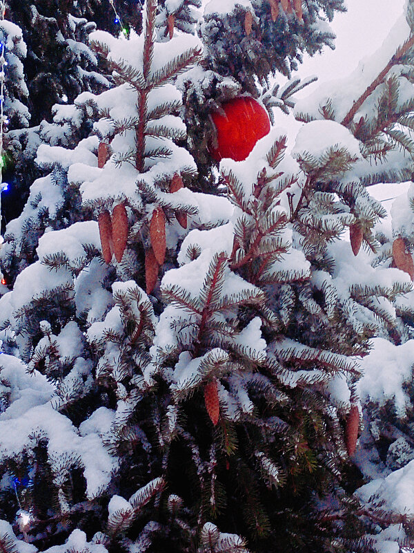 Украшения - Сергей Кочнев