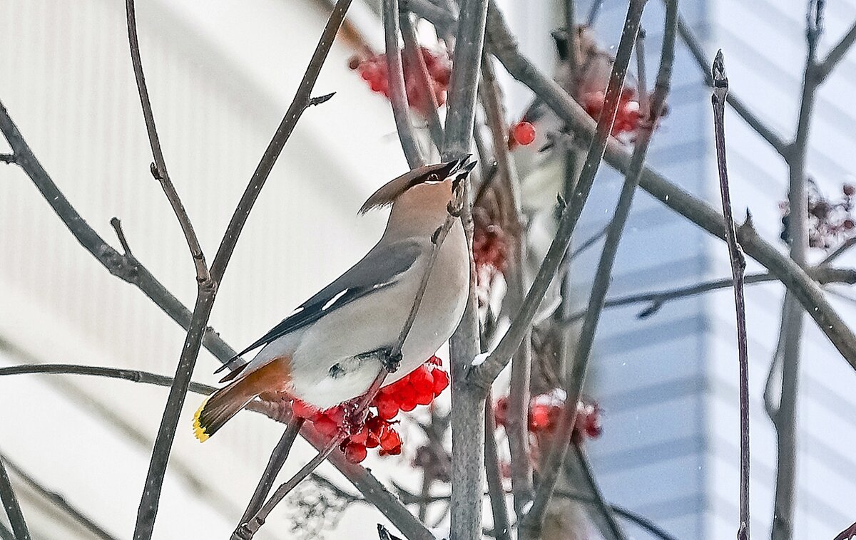 Телекинез - Валерий Иванович