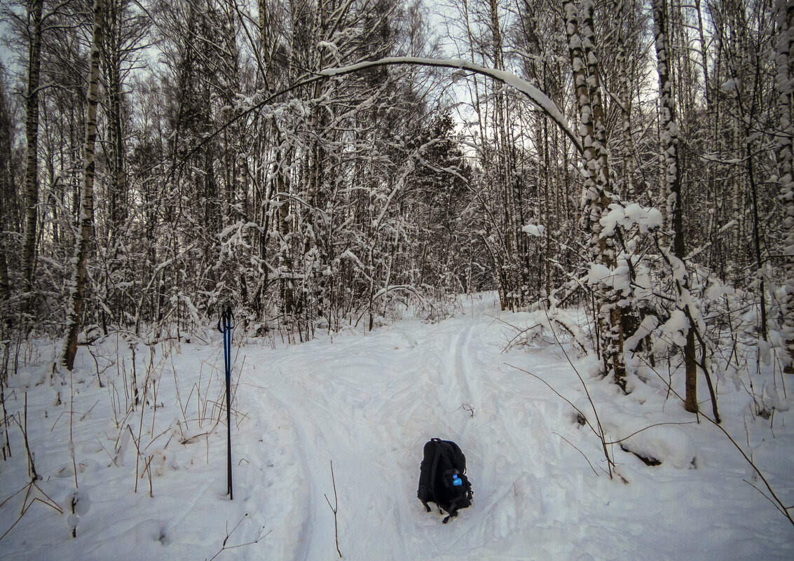 Лыжня - Сергей Цветков