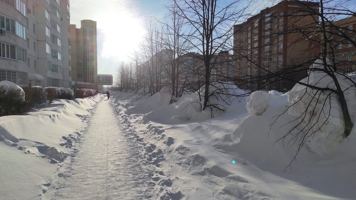 Мороз и солнце - Татьяна Лютаева
