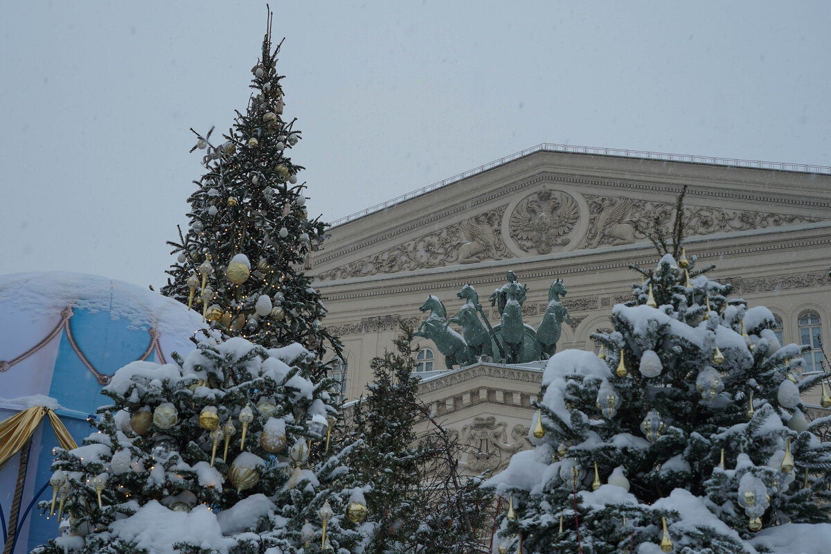 НОВЫЙ_26_ГОД (35) - Сергей Янович Микк