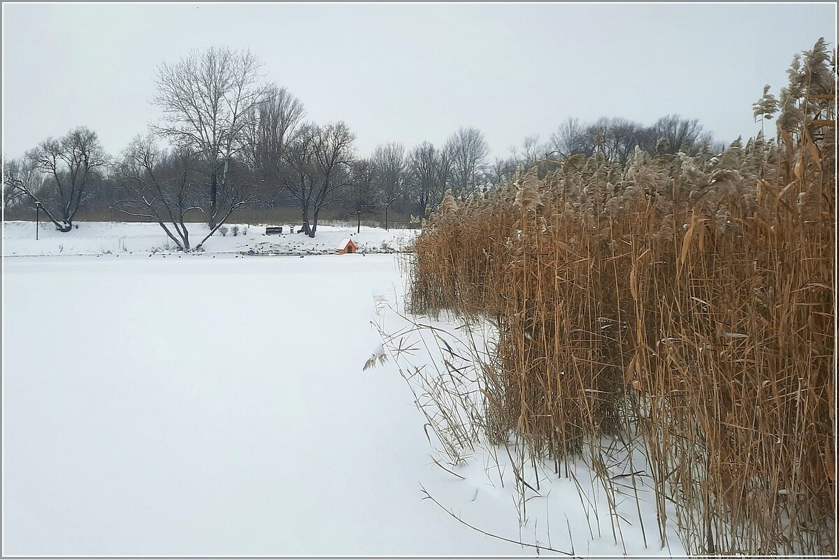 Январь на реке - Сеня Белгородский