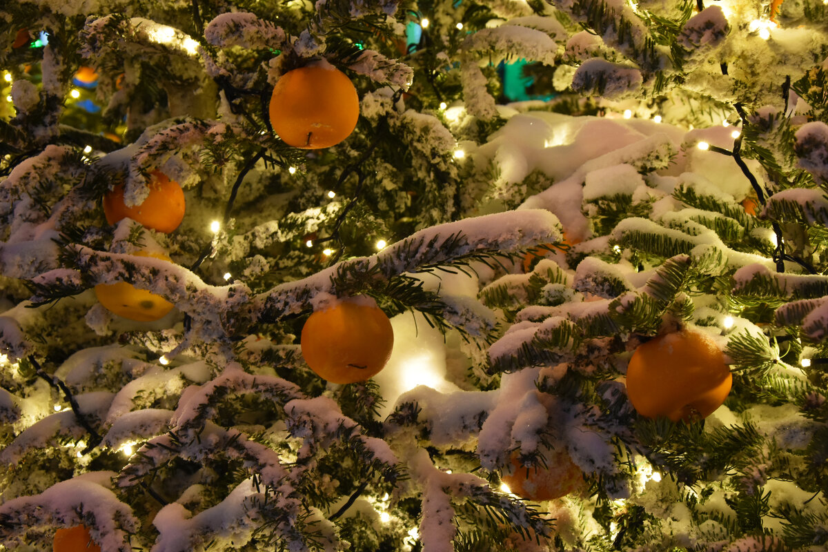 Новогодняя Москва. Путешествие в Рождество 2026 на Старом Арбате. - Наташа *****