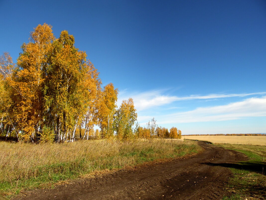 А дальше была зима. - nadyasilyuk Вознюк