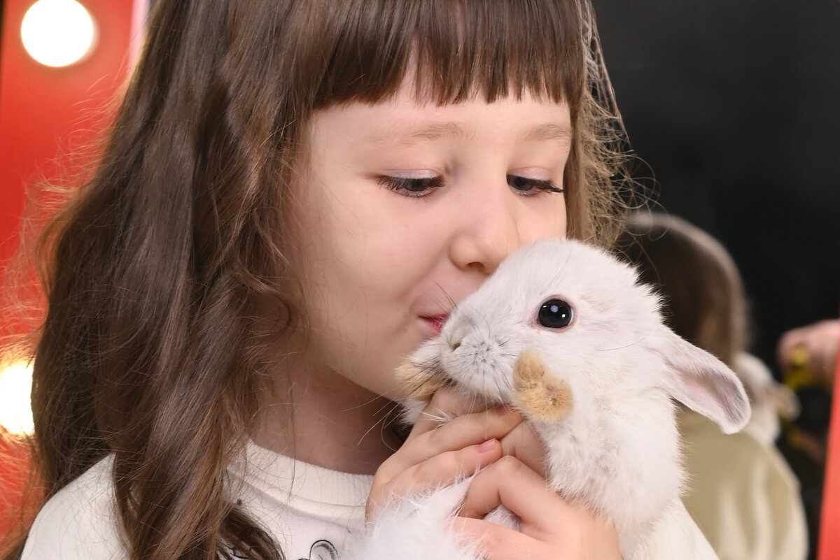 *** - Николай Чекалин