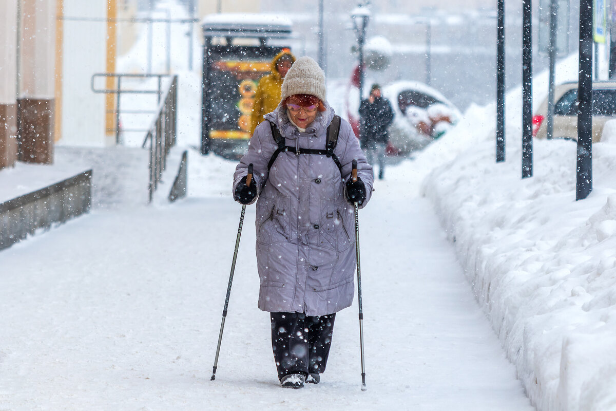 Опять снегопад. - Анатолий. Chesnavik.