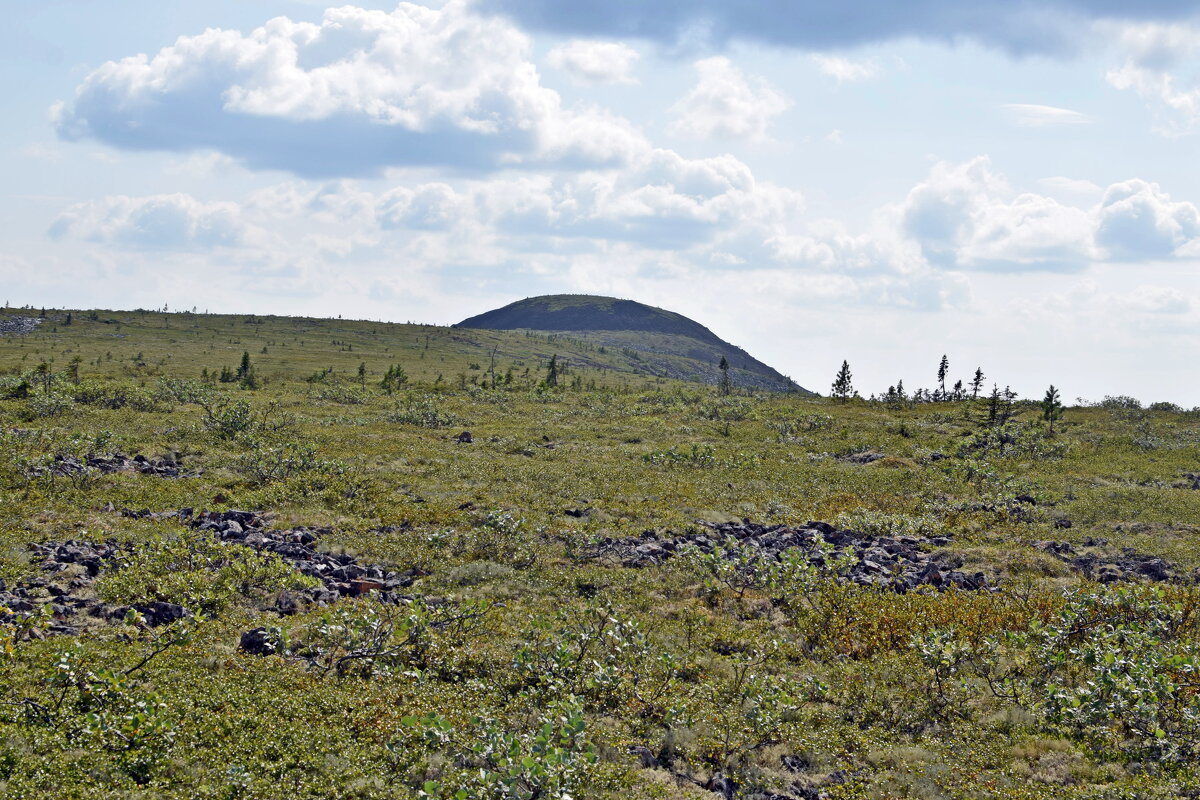 Вершина Тима из. - ВикТор Быстров