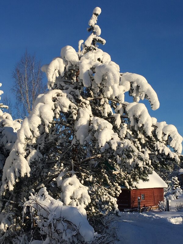 Великие Луки. Настоящая зима 2026... - Владимир Павлов