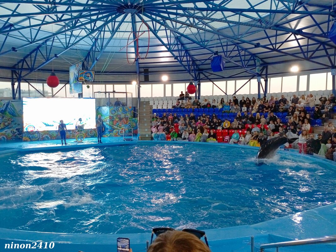 Адлер. Сочи Парк... шоу дельфинов... - Нина Бутко