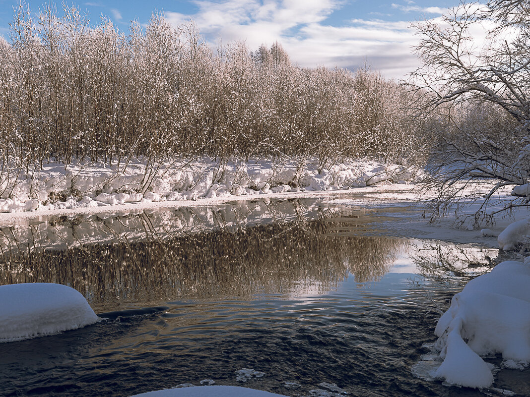 ... - Жора Житников