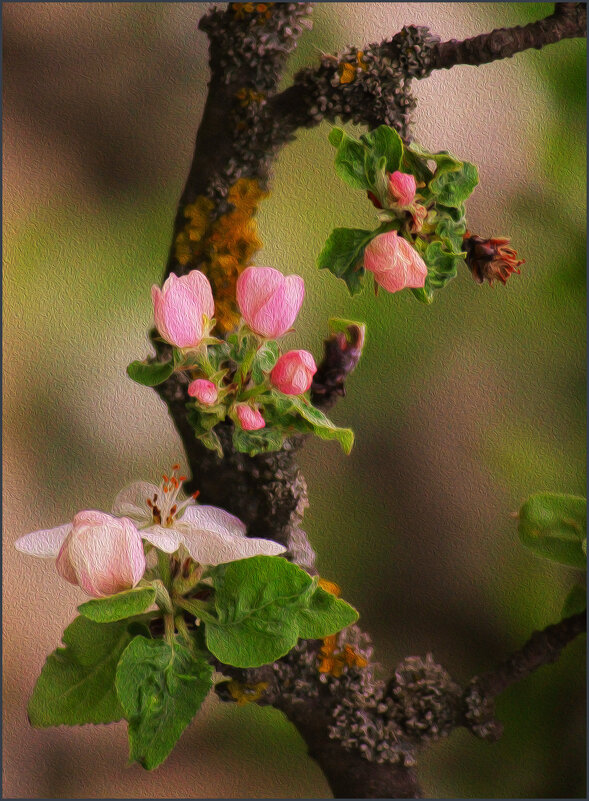 *** - Александр. AVG100 ---