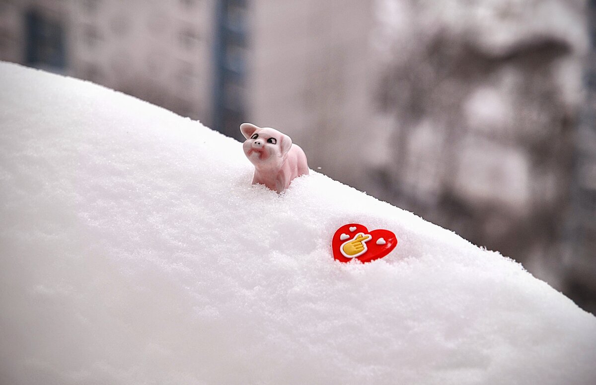 Трамп сказал - Трамп сделал ! Высадил десант в Гренландии,,, - Анатолий Колосов