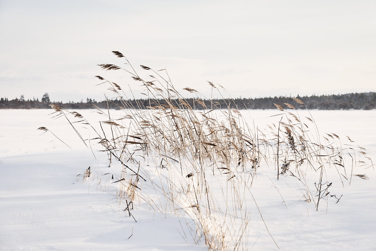 *** - Oleg4WD *** - Oleg4WD