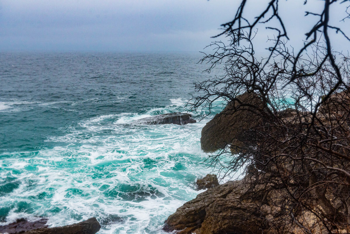 *** - Дмитрий Лупандин