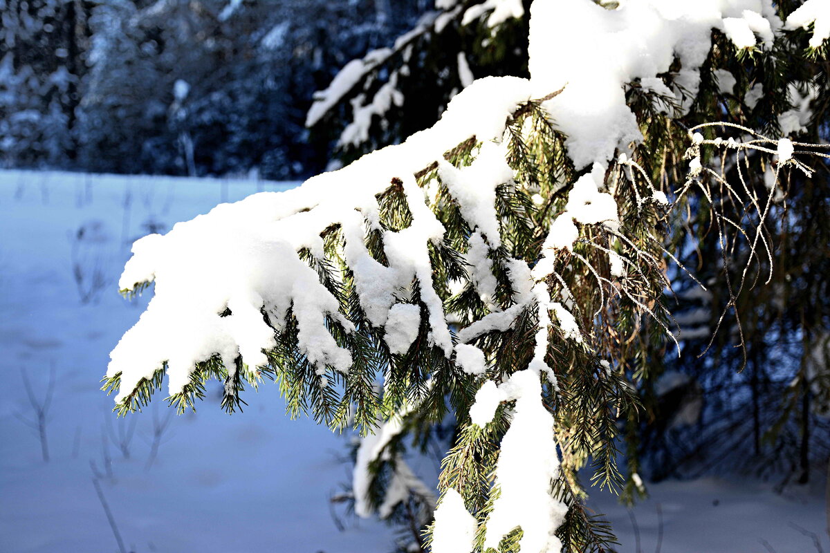 *** - Александр 