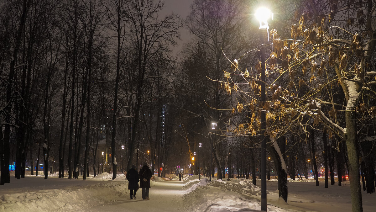 Прогулки в Зимнем Парке - юрий поляков