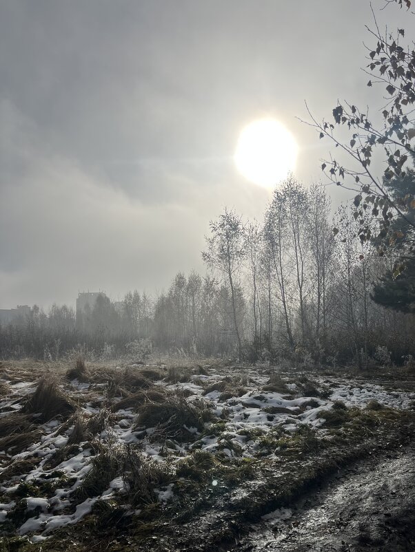 Начало зимы. - Дмитрий Радионов
