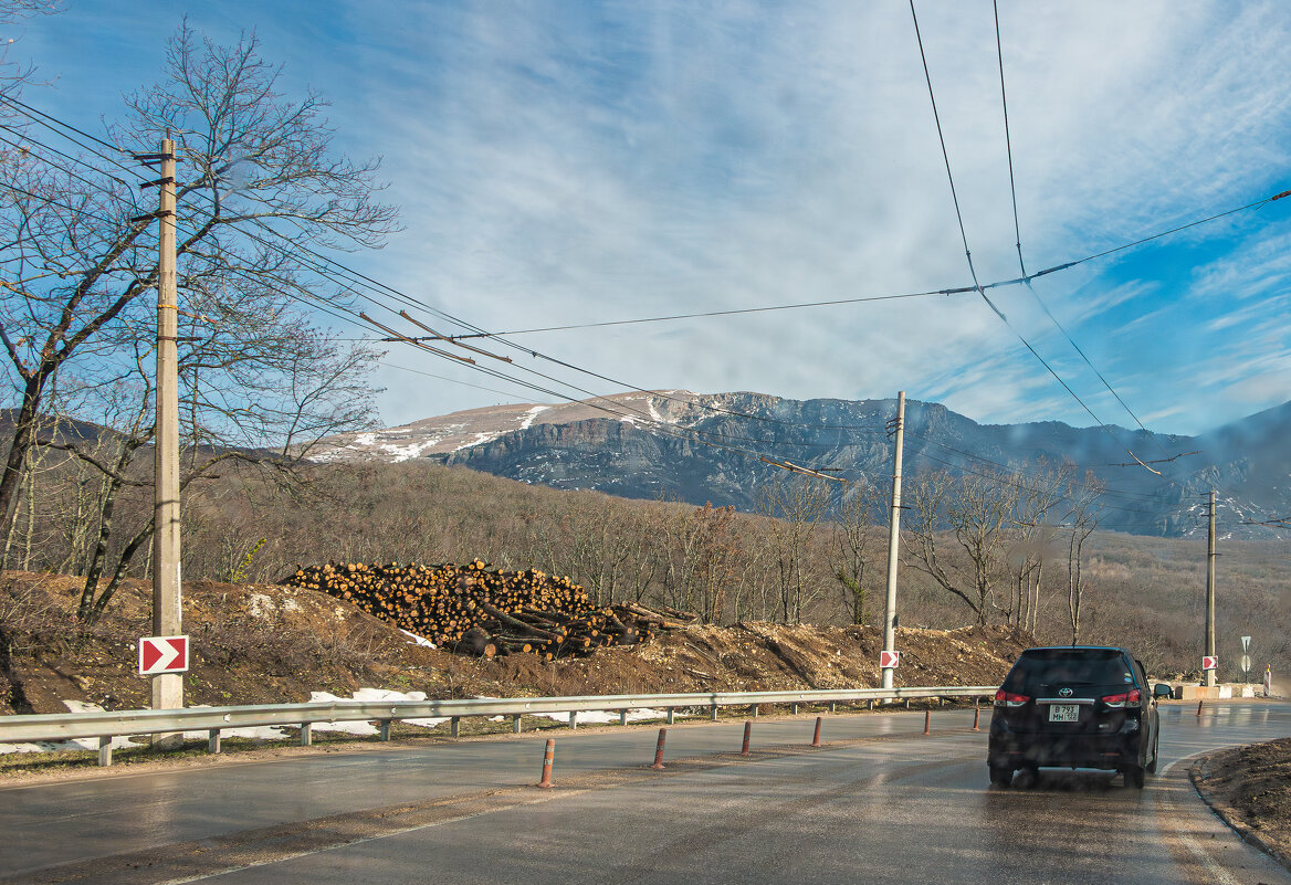 Дровосеки порезвились - Юрий Яловенко Дровосеки порезвились - Юрий Яловенко