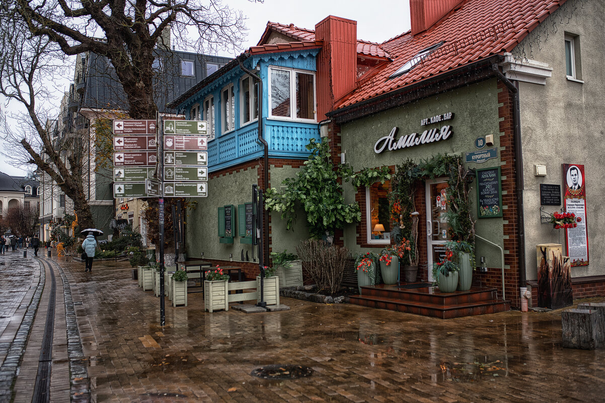 Зеленоградск - Лилия .