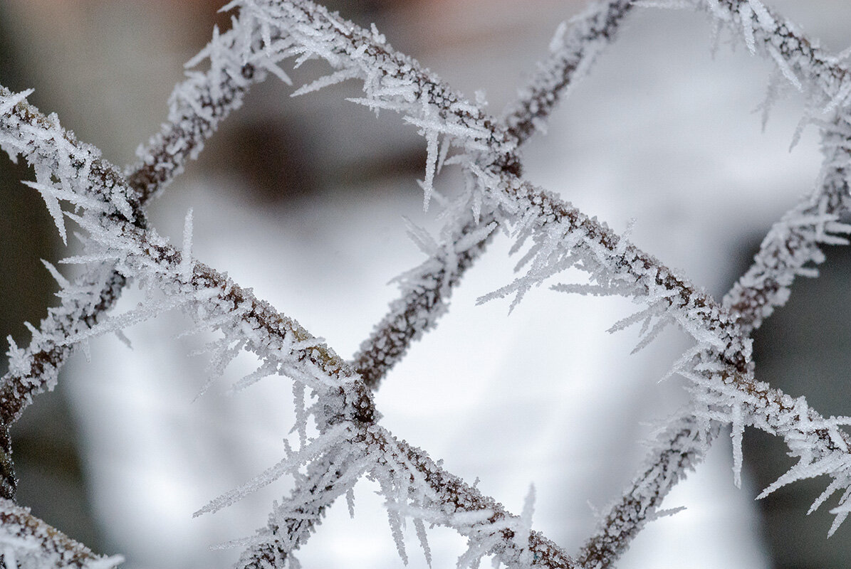 Мохнатый, кружевной, хрустальный иней - Римма Волченко