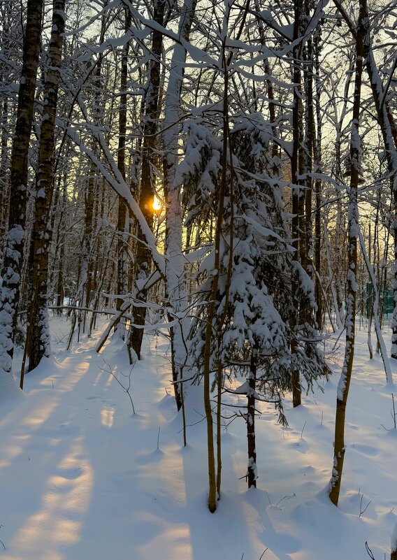 В лучах зимнего солнца - Любовь В лучах зимнего солнца - Любовь