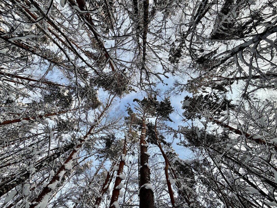 Под небом голубым… - Любовь Под небом голубым… - Любовь