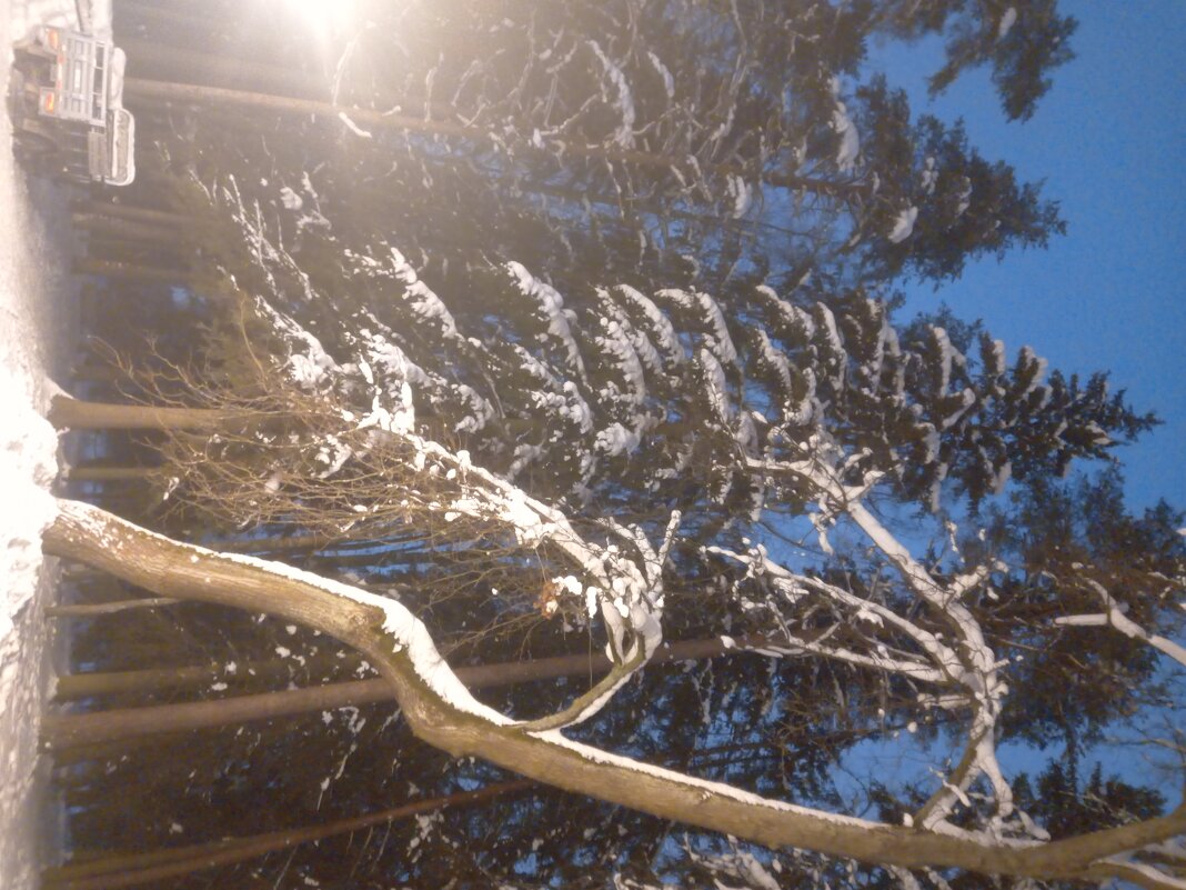 Зима - Сапсан 