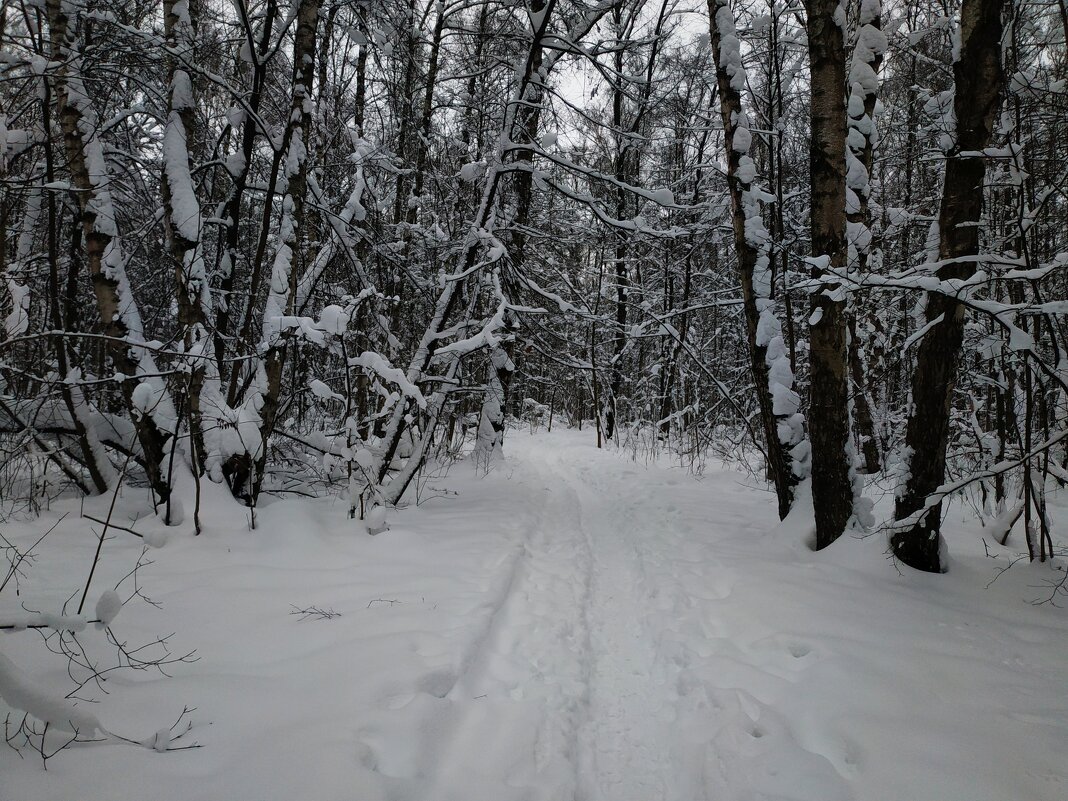 Сезон нецветной фотографии продолжается - Андрей Лукьянов Сезон нецветной фотографии продолжается - Андрей Лукьянов