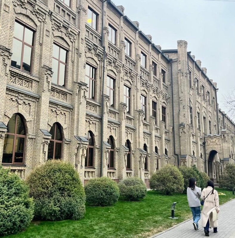 Европа в восточном городе - Георгиевич 