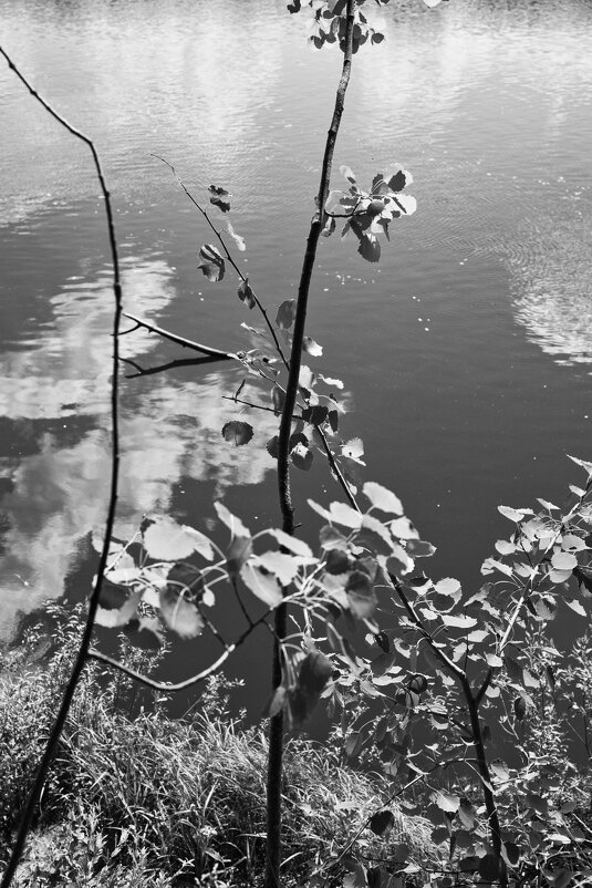 Фотография - Денис Безногов