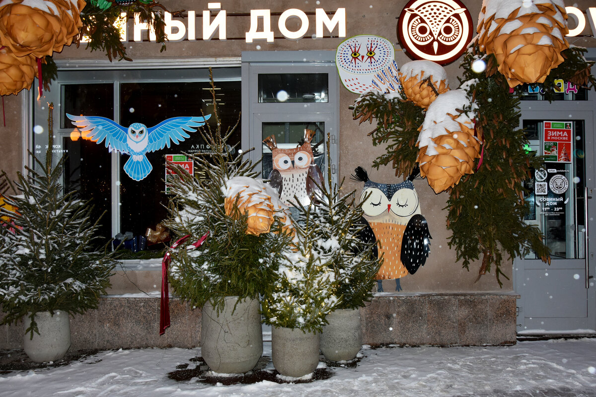 Новогодняя Москва. Путешествие в Рождество 2026. - Наташа *****