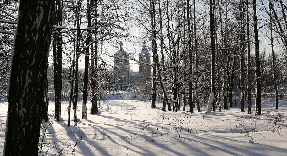 Тени, иней в феврале - ZNatasha -