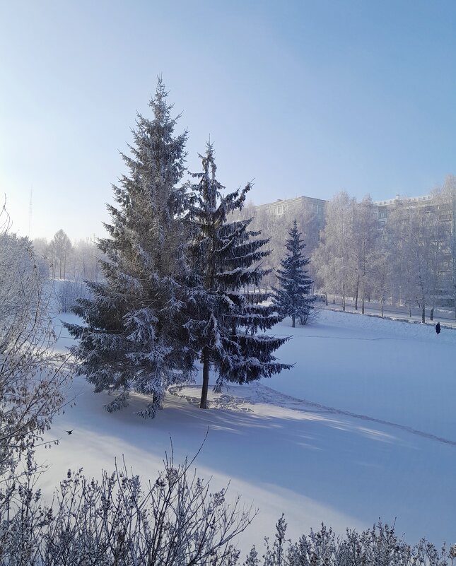 Сибирские морозы - ирина 