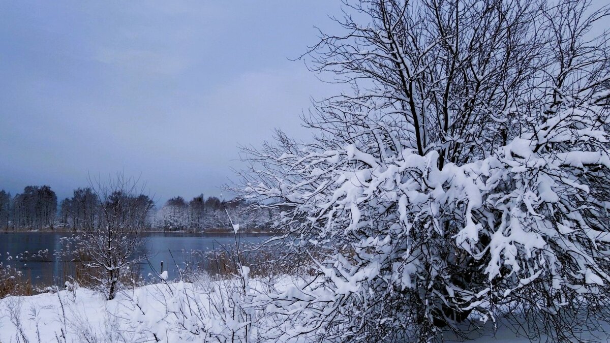 В окрестностях Калининграда - Рита Симонова