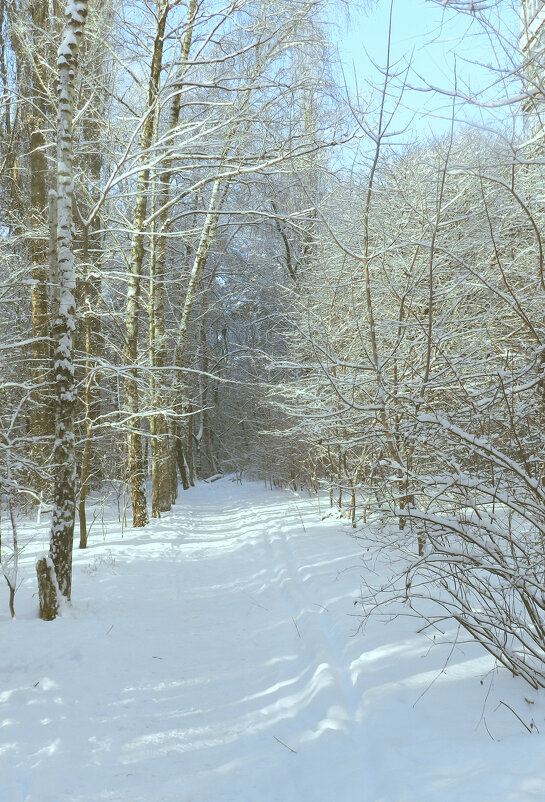 мороз и солнце - Лера 