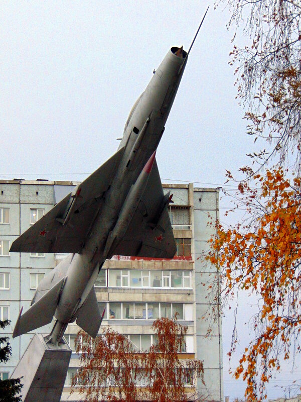 Застывший полёт - nadyasilyuk Вознюк