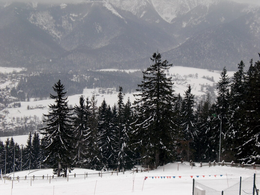 Зимний пейзаж - Анастасия Смирнова